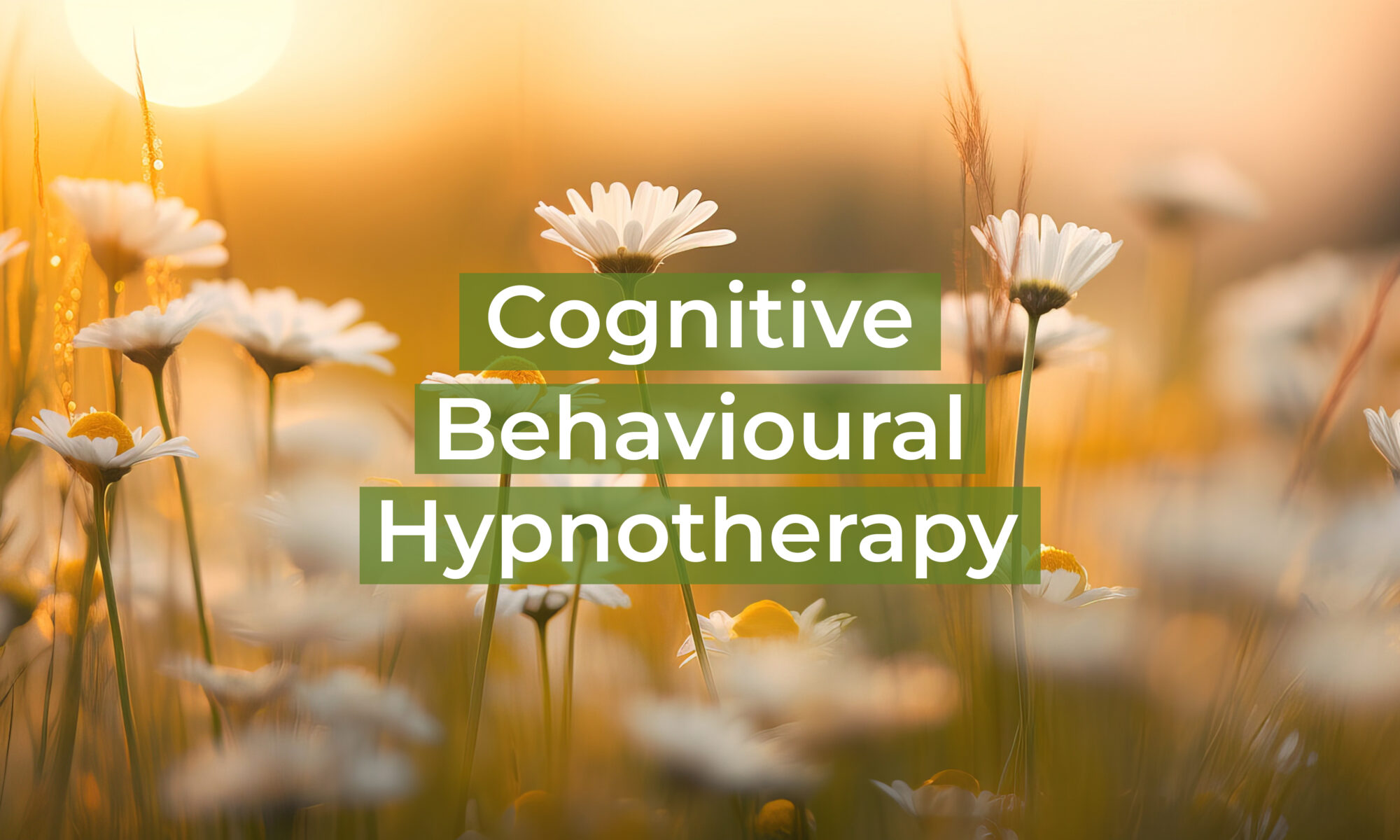 Cognitive Behavioural Hypnotherapy (CBH)